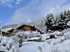 Chalet Erlebnishaus II Piesendorf